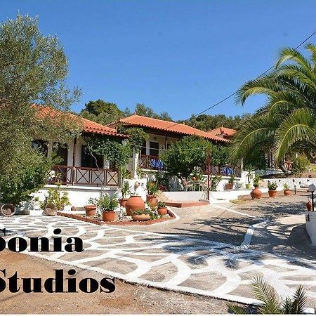 Sonia Studios Nees Kidonies Zimmer foto